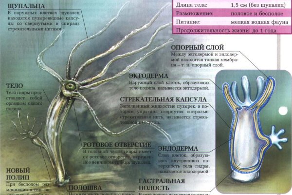 Kraken даркнет рынок ссылка