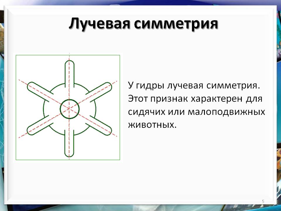 Kraken официальная ссылка