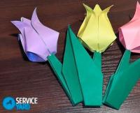 How to make a tulip out of paper with your own hands?